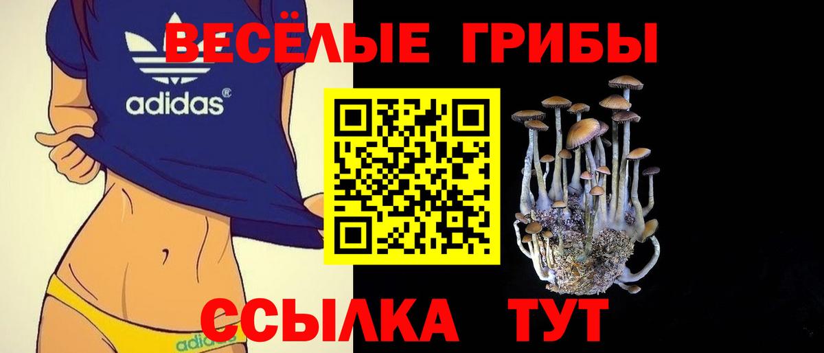 Новый Уренгой  Галлюциногенные грибы Magic Shrooms  Вход с VPN 